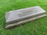 image of grave number 542161